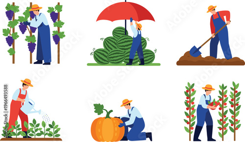 Farmer Working Vector Set with Harvesting, Planting, Watering and Gardening Activities for Agriculture, Farming Lifestyle and Organic Food Illustration