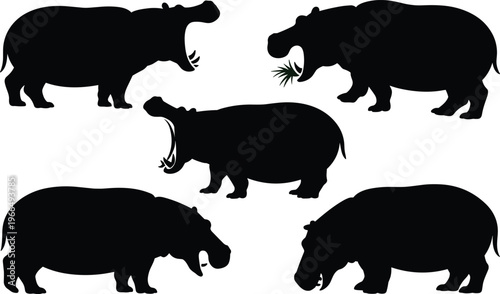 Five black silhouettes of hippopotamuses in different poses and expressions on a white background