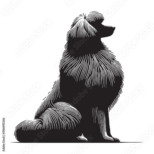 Puli dog unique corded coat breed, Hungarian herding dog, intelligent and agile, energetic worker, loyal companion, small medium size, playful personality, fast moving, protective, distinctive.