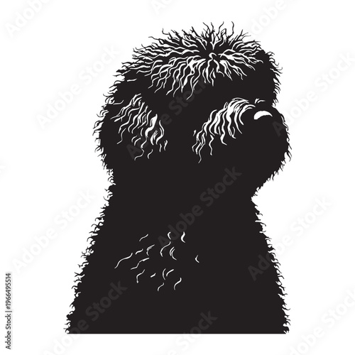 Puli dog unique corded coat breed, Hungarian herding dog, intelligent and agile, energetic worker, loyal companion, small medium size,.