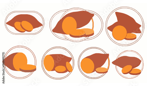 Sweet potato icons in frames vegetable flat vector set