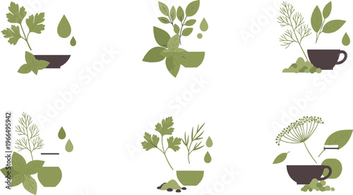 Medicinal herbs and herbal tea plants collection natural botanical ingredients flat vector illustration
