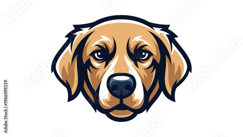 Woman portrait in graphic style