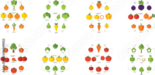Vegetable varieties comparison chart flat vector set healthy food types infographic with different vegetables groups