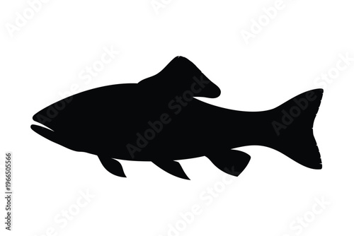 salmon trout silhouette vector, salmon silhouette, freshwater fish vector, fish tattoo