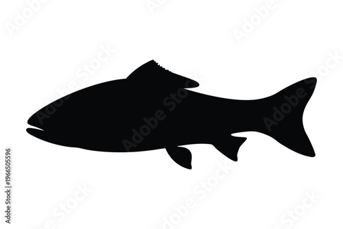 salmon trout silhouette vector, salmon silhouette, freshwater fish vector, fish tattoo