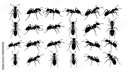 A collection of numerous black ant silhouettes in various poses and orientations against a white background silhouette high quality professional detailed