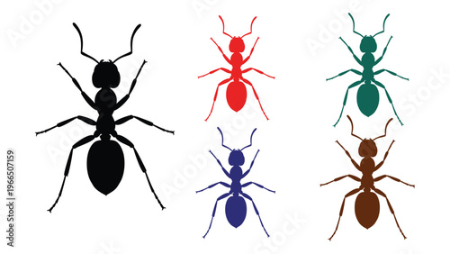 A colorful arrangement showcases three distinct ants in red teal and black alongside two silhouetted versions silhouette high quality professional detailed