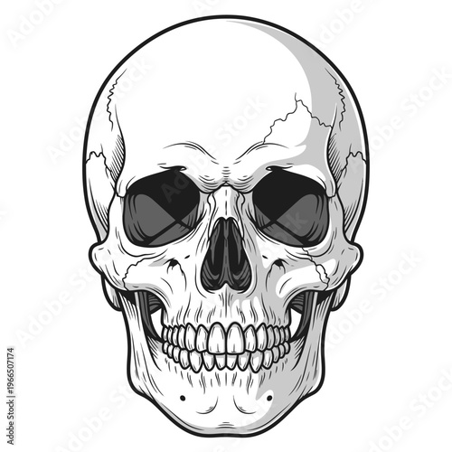 Detailed Human Skull Illustration, Front View, Black and White, Isolated on White Background