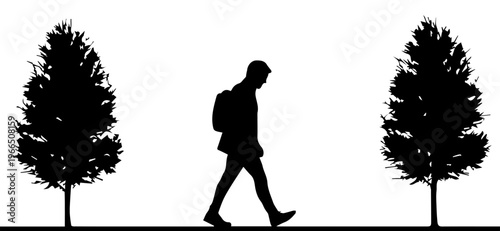 Silhouette of a Man with a Backpack Walking Between Two Trees