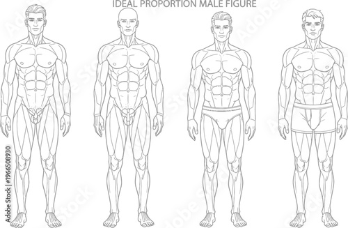 Detailed human body outline diagram for acupuncture, pain points, and reflexology medical treatment map, trigger points, physical therapy, alternative medicine, skeletal system, nervous system