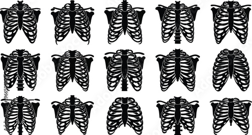 Human rib cage anatomy vector illustrations set with multiple views for medical, scientific, and educational design projects, human body, thoracic cavity, skeletal system, black and white, body part