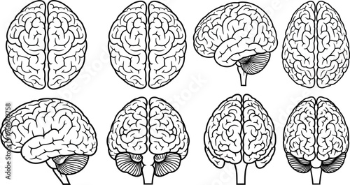 Set of human brain diagrams showing different views and cross-sections, rendered in a clean, illustrative outline style, medical illustration, nervous system