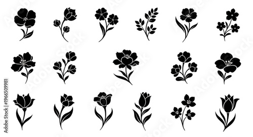 Black floral silhouettes on white background, elegant botanical design.
