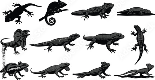 Collection of lizard silhouettes: diverse reptile illustrations in black and white for educational or design purposes with cold blooded with animal kingdom with animal silhouette