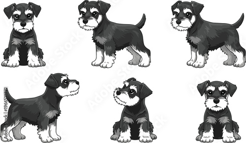 Cute Schnauzer Puppy Vector Set with Multiple Sitting, Standing, and Side Poses for Cartoon, Pet, Animal, and Kids Illustrations