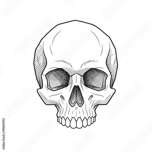 Hand-drawn human skull illustration, graphic art, isolated on white background, sketch style