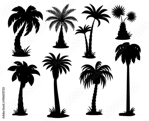 Tropical palm tree silhouettes. Coconut with curved trunks, fan palms with distinct broad leaves, date and royal, double coconut palms. Black silhouettes of beach resort palms