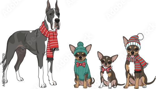 Cute Dog Vector Set with Winter Clothing Accessories Featuring Great Dane, Chihuahua, and Mixed Breeds Wearing Hats, Scarves, and Bow Ties for Holiday Illustrations