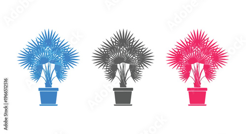 Three potted palm trees in blue, gray, and pink planters displayed in a row against a white background