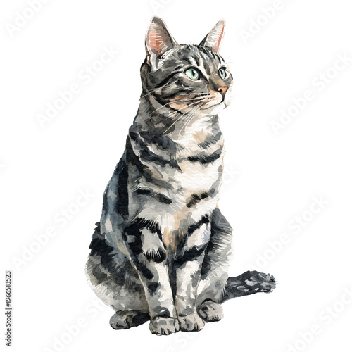 Professional Cat Sitting Watercolor Isolated on White Background for Graphic Design Usage
