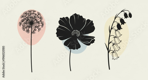 Botanical Illustration of Three Delicate Flowers in Silhouette and Line Art.