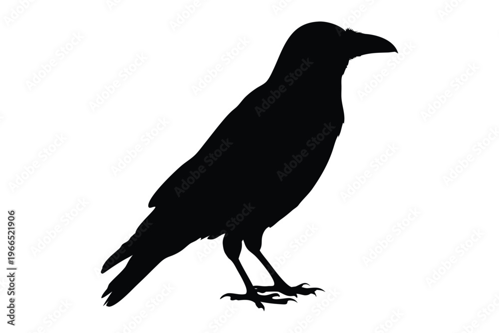 Fototapeta premium Crow raven bird silhouette vector, crow silhouette