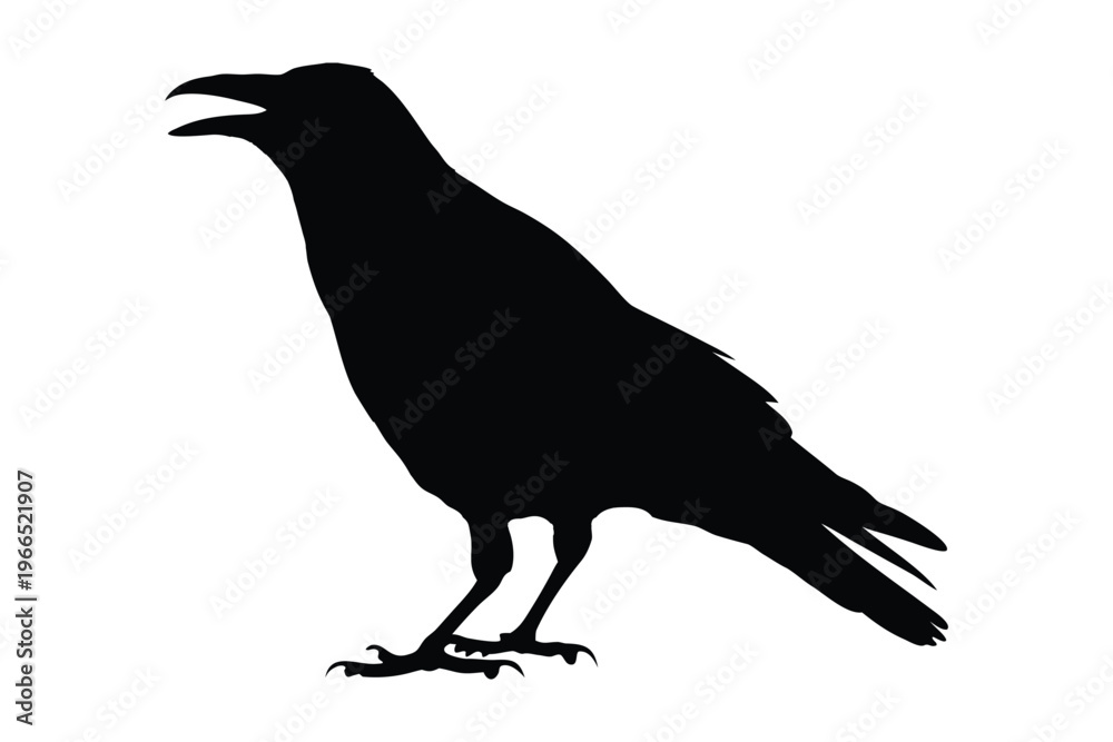 Fototapeta premium Crow raven bird silhouette vector, crow silhouette