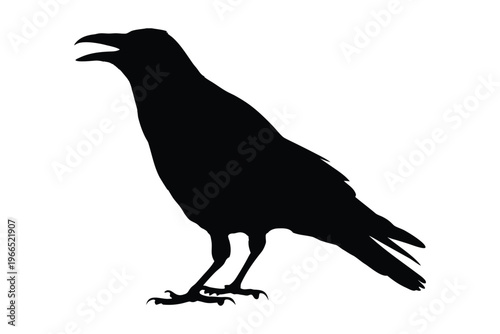 Crow raven bird silhouette vector, crow silhouette