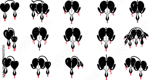 Black bleeding heart flowers with red drops set dicentra spectabilis floral