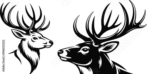 Black and white deer head silhouettes with large antlers, detailed wildlife illustration of stag profiles, hunting emblem design, nature animal vector isolated on clean background