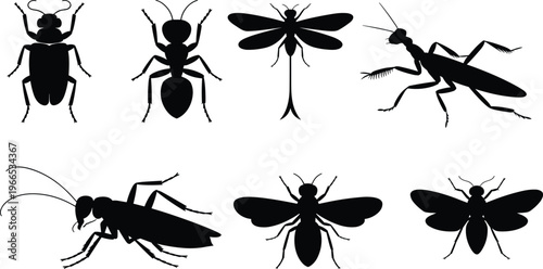 Collection of black silhouette vector illustrations featuring various insects like beetle, ant, dragonfly, praying mantis, cricket, bee, and fly isolated on white background.