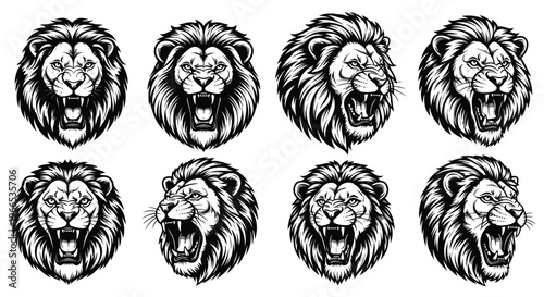 Collection of ferocious roaring lion head vector illustrations showing different angles and expressions