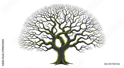 Majestic Bare Tree with Intricate Branches, Symbol of Nature, Growth, and Time