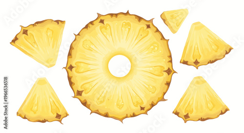Fresh Pineapple Slices and Rings, Tropical Fruit, Healthy Food, Top View