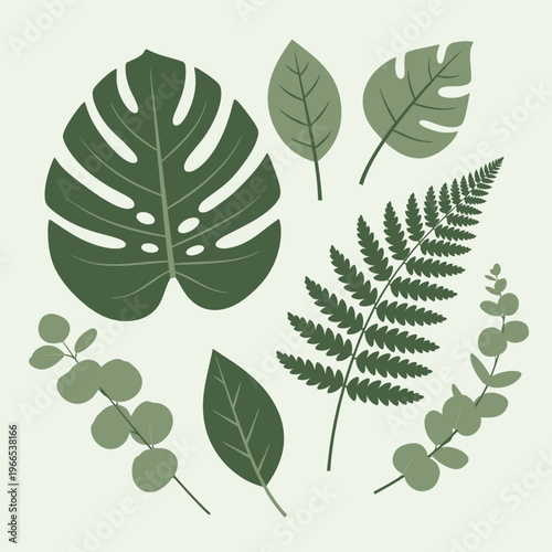 Collection of Various Green Leaves and Foliage.