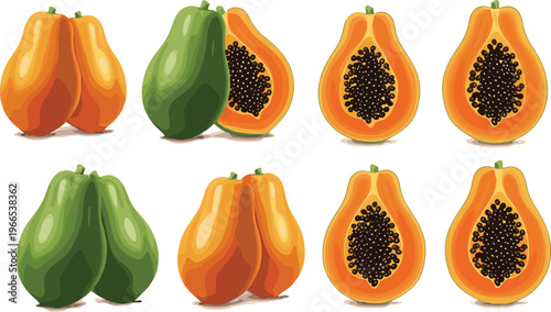 Papaya Fruit Illustration with Ripe and Unripe Papaya Halves and Seeds for Healthy Food and Tropical Designs