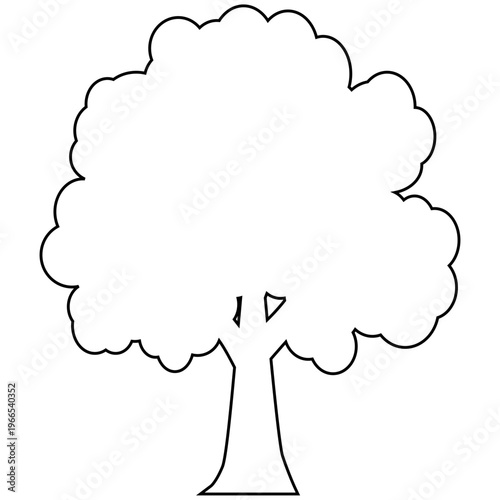 Illustration of a Tree Outline
