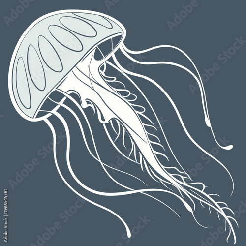 A jellyfish with a white outline on a dark background