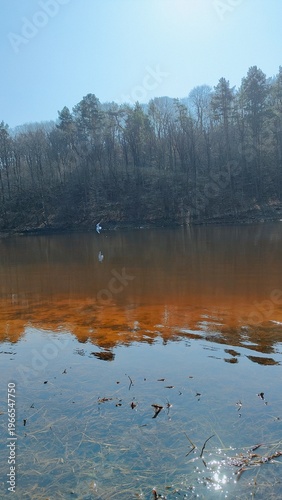 reflection in the water