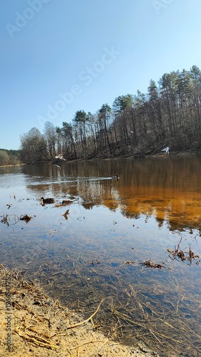 reflection in the water