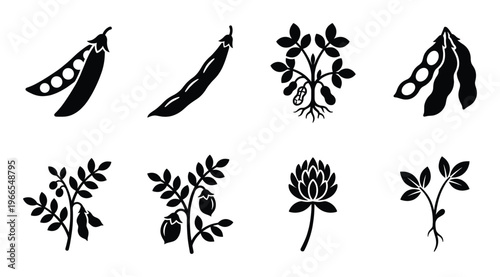 Botanical legume plant icons including green peas soybean and peanut symbols for agriculture designs