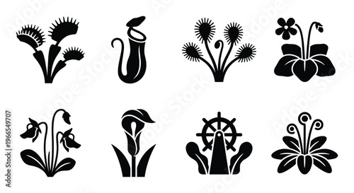 Carnivorous plants icon set vector illustration venus flytrap pitcher plant sundew butterwort cobra lily