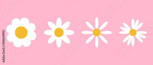 “Cute Chamomile Flowers Vector Set, Hand-Drawn Floral Illustration, Spring Summer Botanical Clipart”