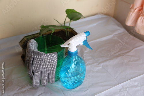 Canvas Print Cleaning supplies are ready on a table with a plant and gloves nearby for garden