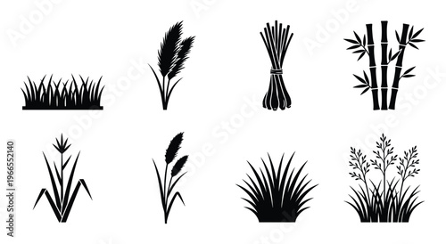 Grass and bamboo silhouette set isolated icons for landscape design and botanical nature illustration