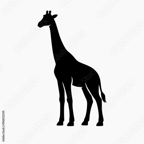 A striking silhouette of a giraffe stands prominently against a white background