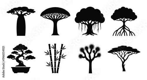 Set of various exotic tropical trees and desert plants black glyph icons