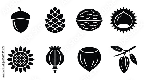 Various edible nuts seeds and plant produce vector icons for food and agriculture on a transparent background