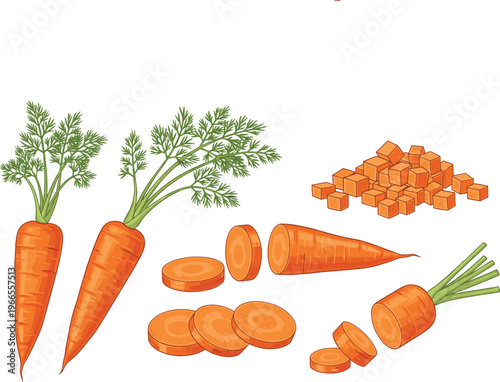 Diverse Market Vendors and Shopkeepers Set Featuring Cashiers with POS Terminals Delivery Personnel and Grocery Merchants for Small Business and Retail Service Designs